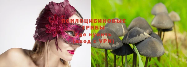 Альфа ПВП Баксан