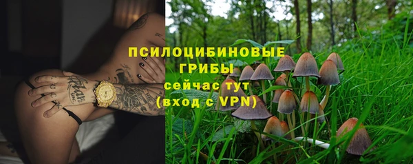 сатива Белокуриха