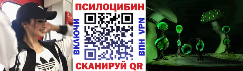 Псилоцибиновые грибы Psilocybine cubensis  где можно купить   Кимовск 